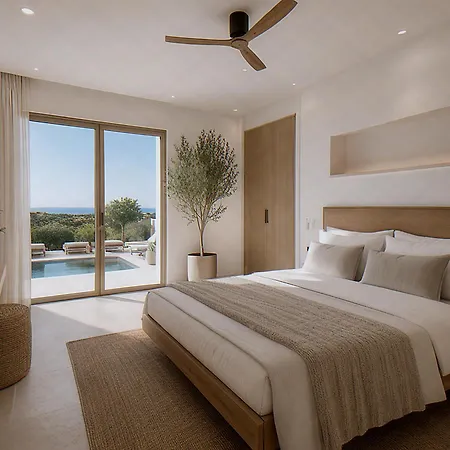 Villa Driza W Pool